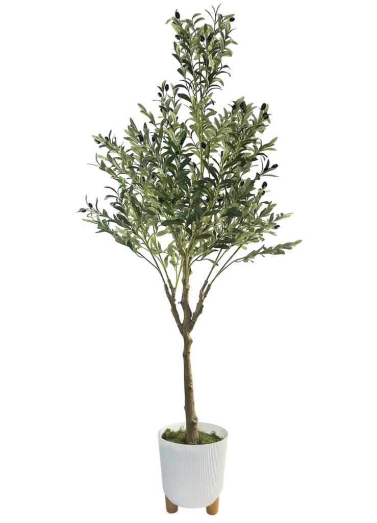 Yapay Zeytin Ağacı 185cm Doğal Görünümlü Yapay Ağaç Beyaz 25cm Zigon Saksıda