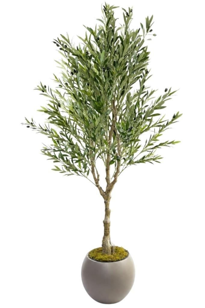 Yapay Zeytin Ağacı Doğal Kök Detaylı Büyük Dolgun Model Mokka Plastik Küre Saksıda 200cm Yapay Ağaç