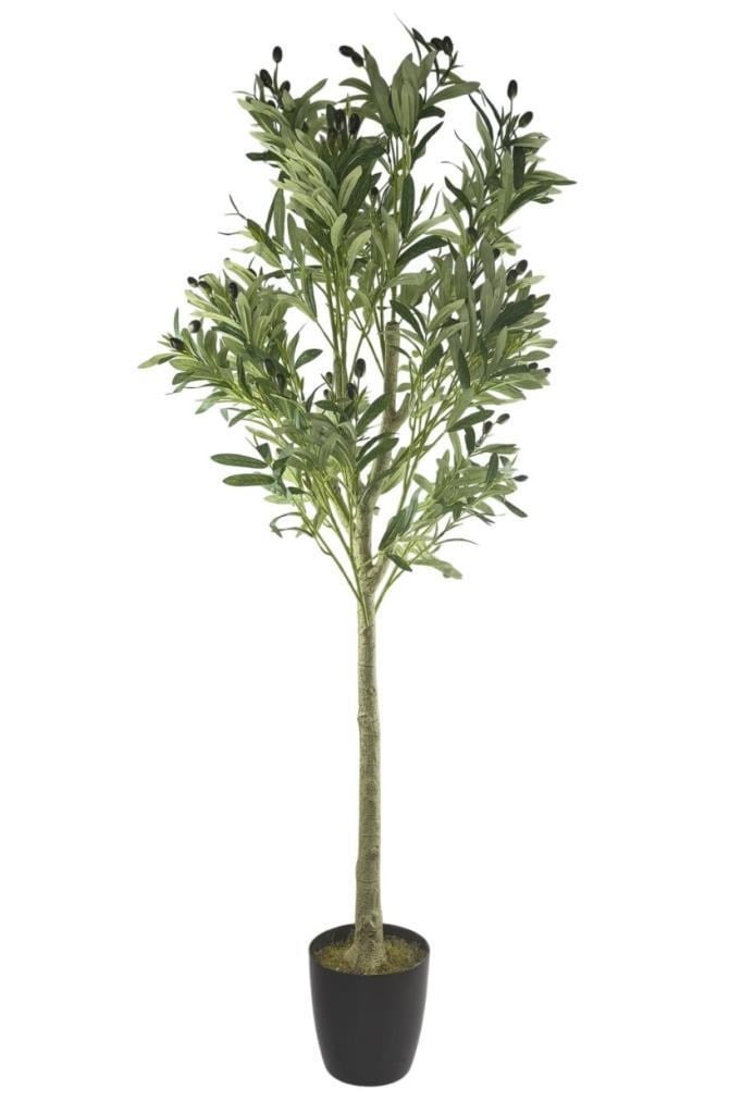 Yapay Zeytin Ağacı Lüks 160cm Doğal Gövdeli Gerçek Görünümlü Yapay Ağaç 2215