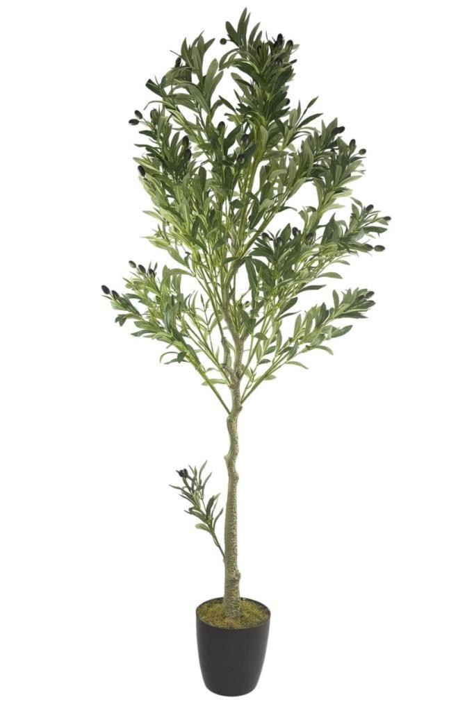 Yapay Zeytin Ağacı Lüks 170cm Doğal Gövdeli Gerçek Görünümlü Yapay Ağaç 1391