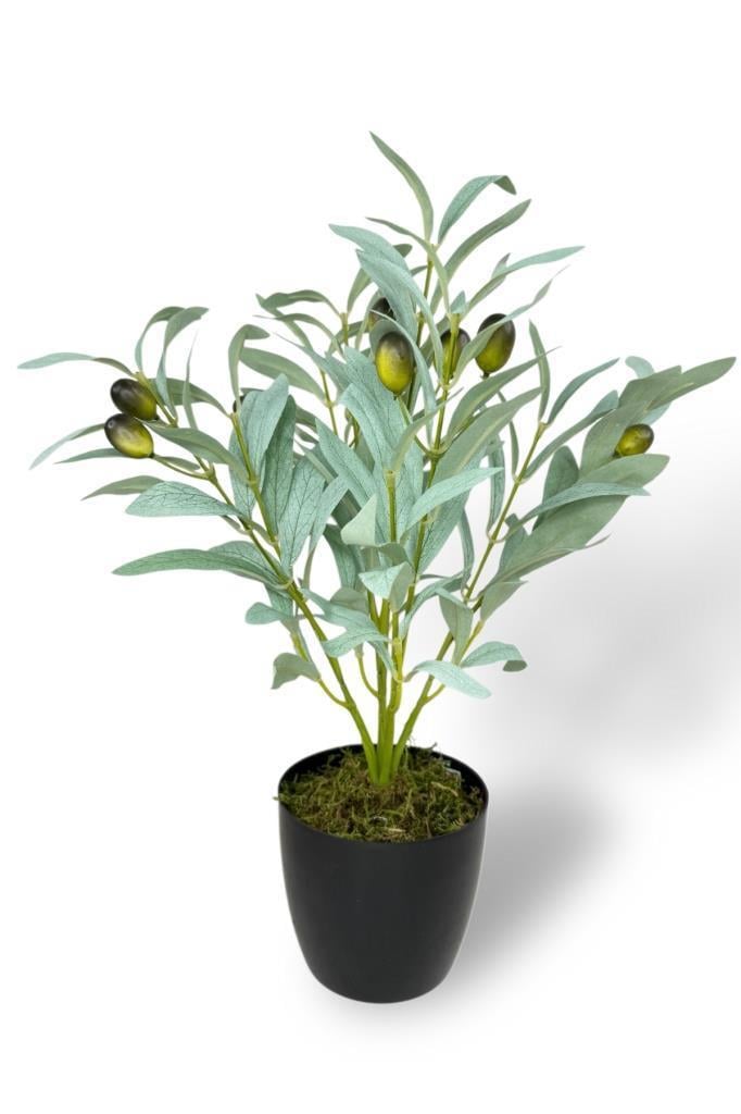 Yapay Zeytin Ağacı Saksıda 40cm 5 Dallı 10 Meyveli Pastel Yapay Çiçek Artificial Olive