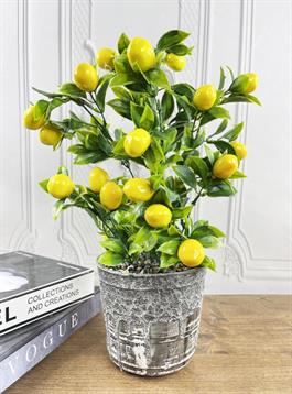 Yapay Çiçek 3 Adet Gri Seramik Saksıda Limon Nar Ve Mandalina Ağacı 40cm 