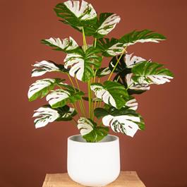 Yapay Çiçek Beyaz Saksıda Kırmızı Çam İğneli Bonus Masa Üzeri Dekoratif Bitki TY242