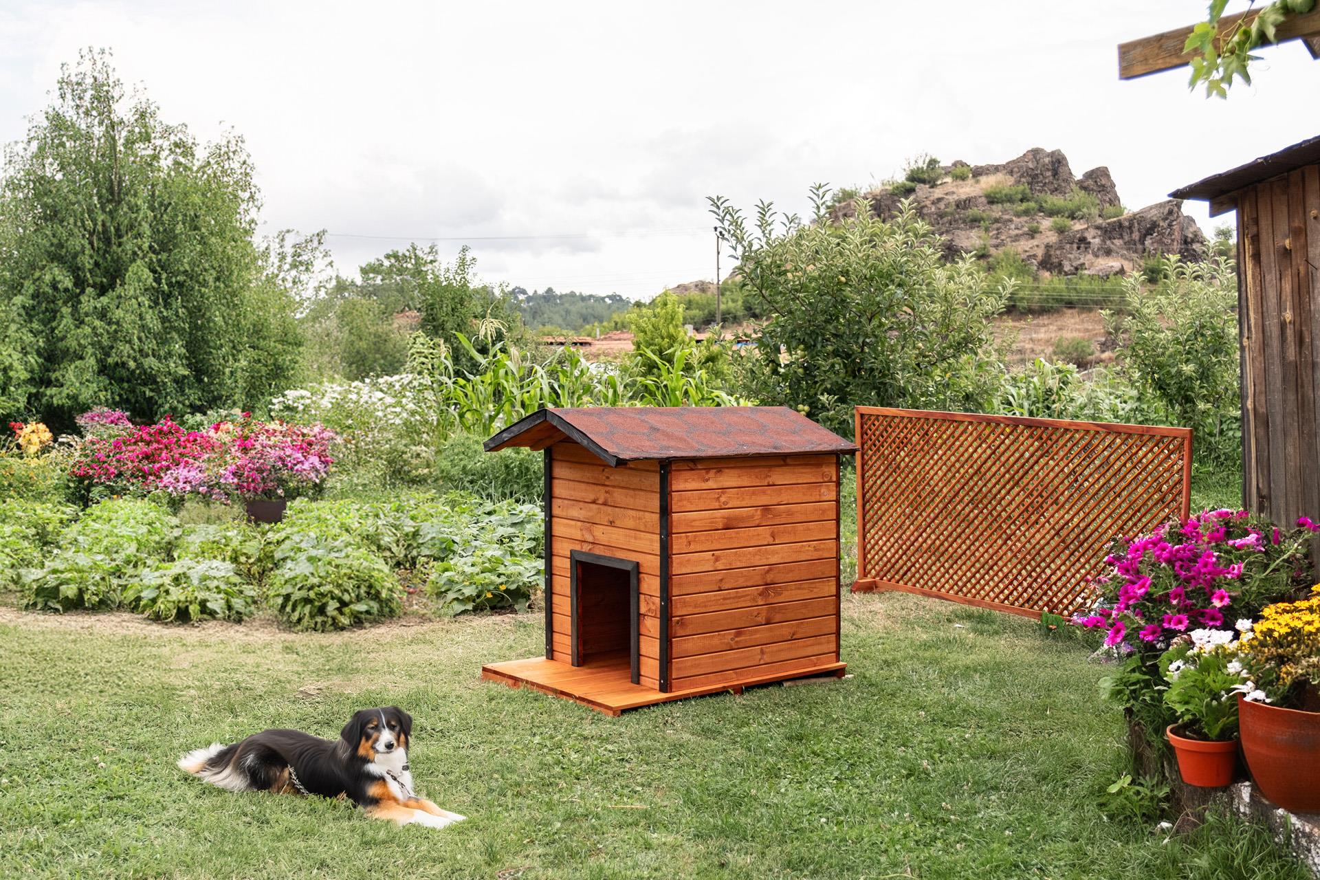 Large Ahşap Köpek Kulubesi