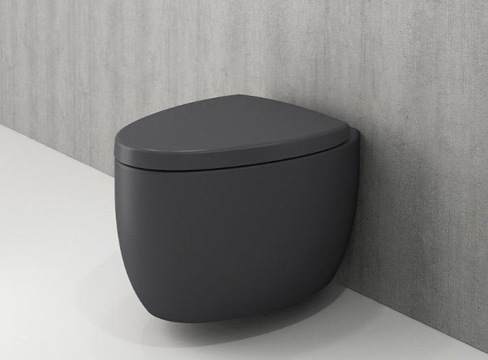 Bocchi Etna Asma Klozet Kapak Dahil Mat Antrasit 1116-020-0128