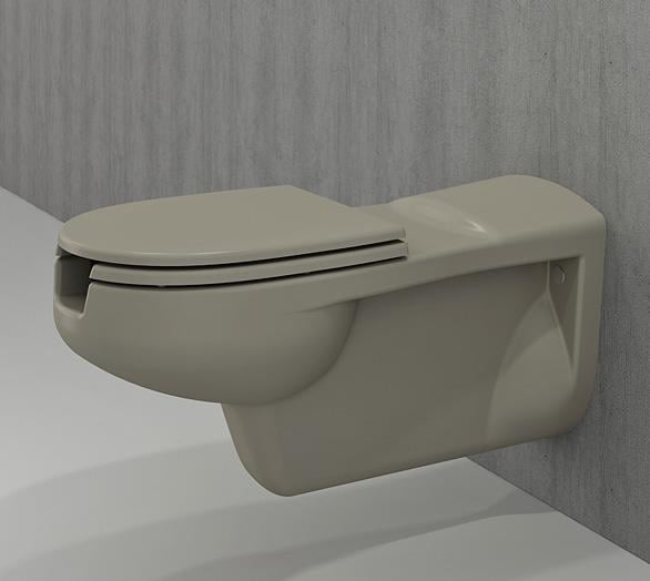 Bedensel Engelli Asma Klozet ve Kapağı 75cm Kaşmir
