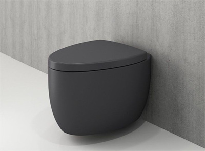 Bocchi Etna Asma Klozet Kapak Dahil Mat Antrasit 1116-020-0128
