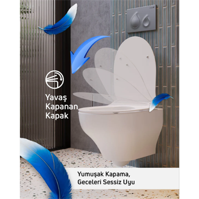 NS323 - HBCV00008FOV89