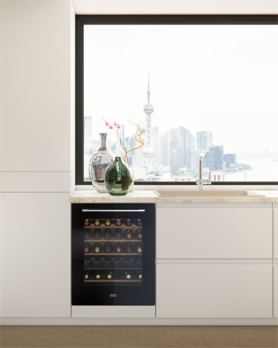 Franke Şaraplık FMA 36 WCR BK Black Glass 