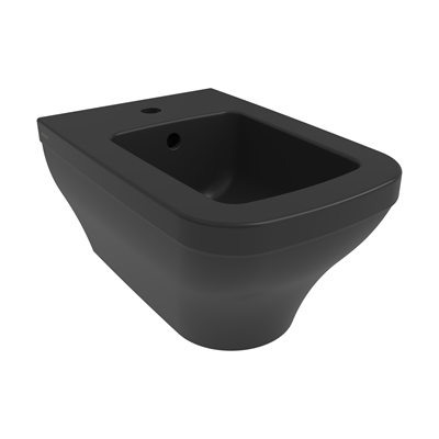 Bocchi Scala Arch Asma Bide Mat Siyah 1125-004-0120