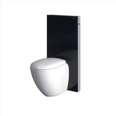 GEBERİT Monolith Rezervuar - Yere Oturan Klozet İçin 101 cm (Siyah)