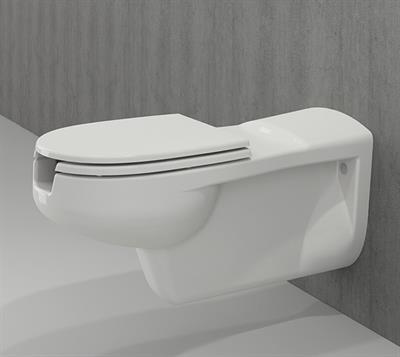 Bedensel Engelli Asma Klozet ve Kapağı 75cm Beyaz