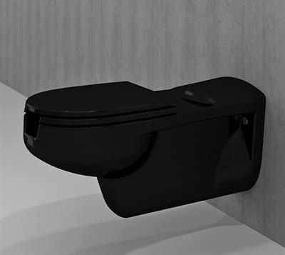 Bedensel Engelli Asma Klozet ve Kapağı 75cm Siyah