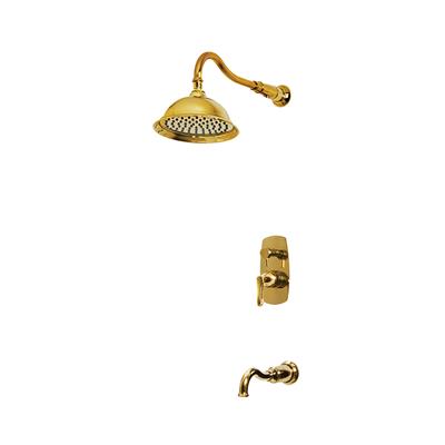 NEWARC GOLDEN ANKASTRE BANYO BATARYASI ALTIN