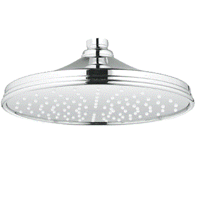 Rainshower Rustic 210 Tepe Duşu 1 Akışlı