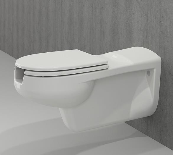 Bedensel Engelli Asma Klozet ve Kapağı 75cm Beyaz