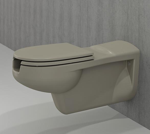 Bedensel Engelli Asma Klozet ve Kapağı 75cm Kaşmir