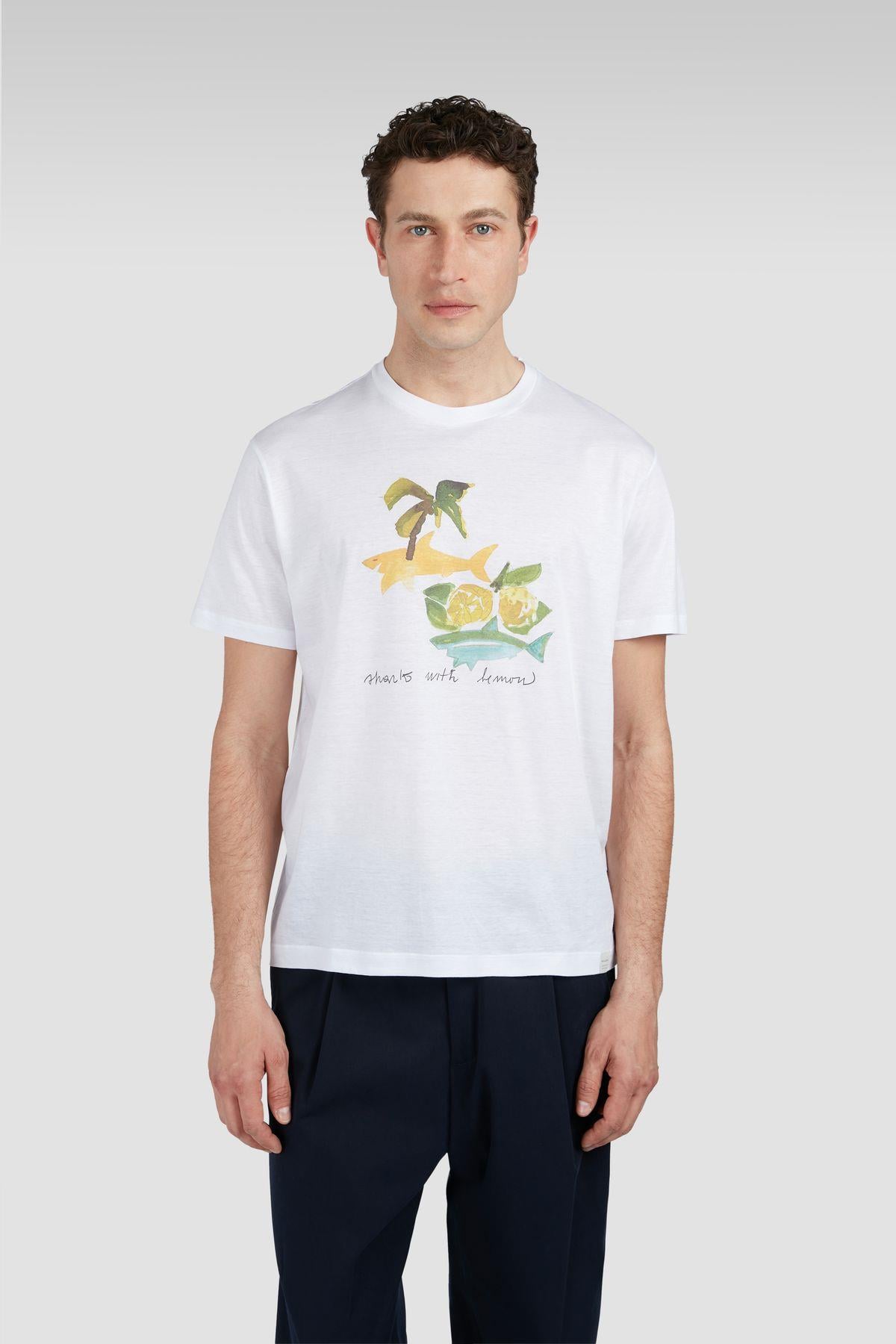 cotton-t-shirt-7e01b4.jpg