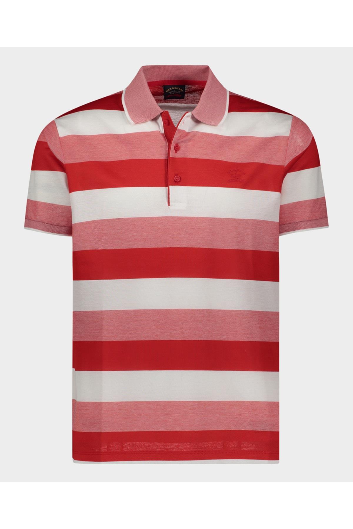 mens-knitted-poloshirt-c.w-dd6e69.jpg
