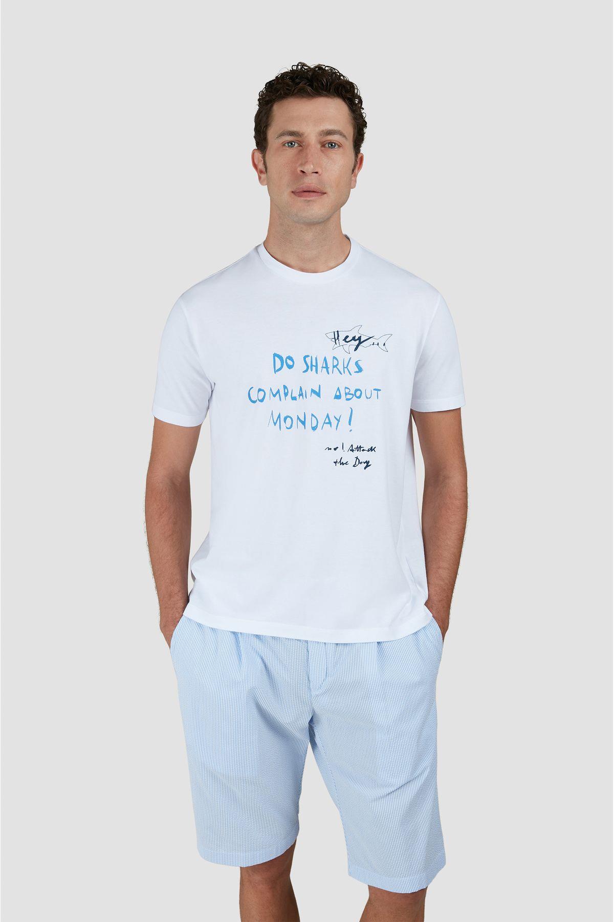 cotton-t-shirt-620c8-.jpg