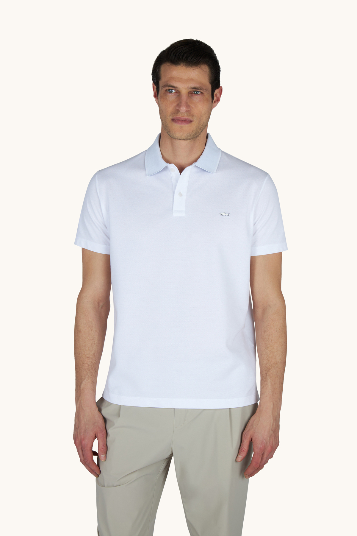 mens-knitted-poloshirt-c.w-c34-aa.jpg
