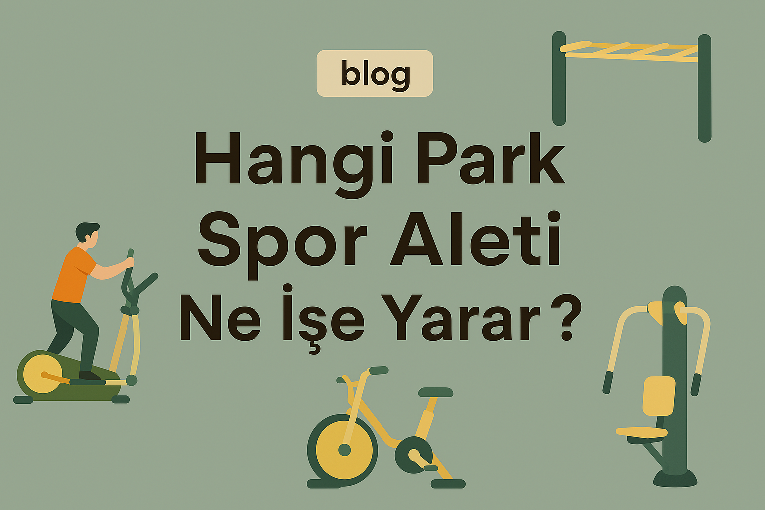 Hangi Park Spor Aleti Ne İşe Yarar?