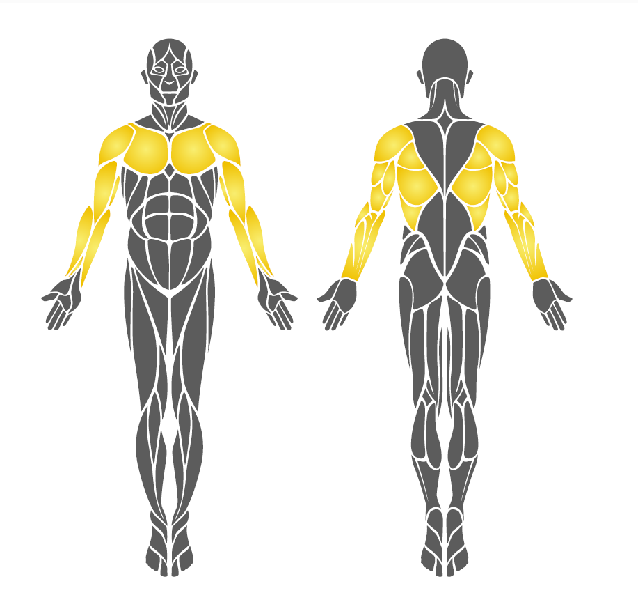 Panolu Spor Aletleri PF04, Kol ve Omuz Çalıştırma Aleti
