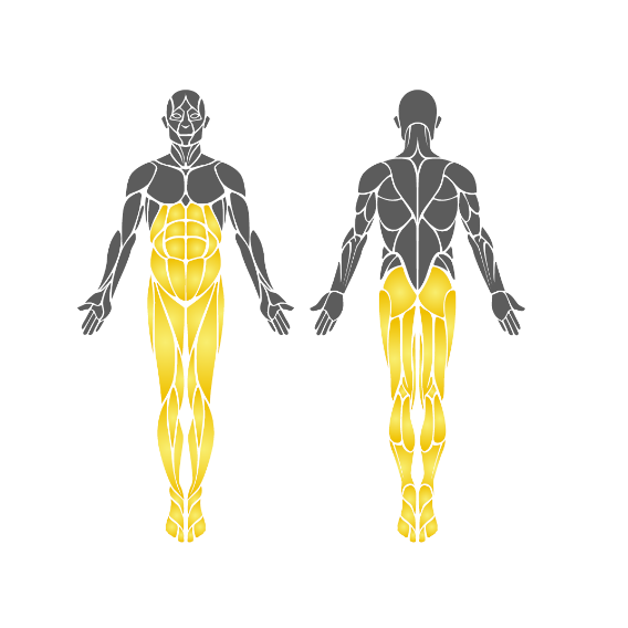 Bisiklet ve Step Aleti EKS02
