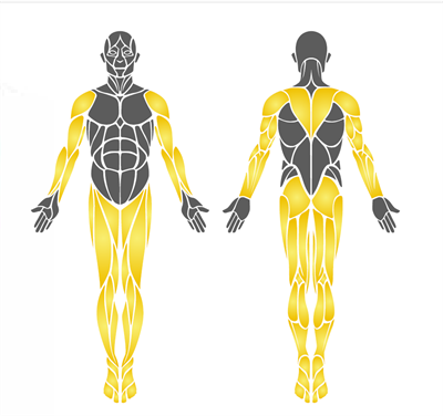 Dış Mekan Spor Aleti, Eliptik Bisiklet EKS19