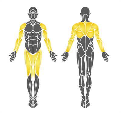 Dual Body Trainer PF-02 – Outdoor Strength Equipment for Two Users