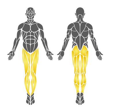 Dual Air Walker PF-03 – Outdoor Cardio Trainer for Two Users