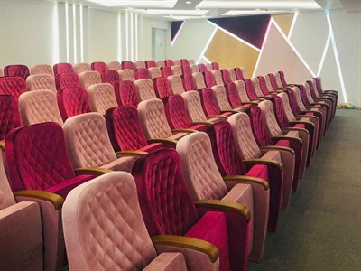 Konferans Koltuğu / SHS-2030