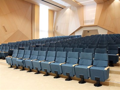 Konferans Koltuğu / SHS-2032