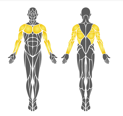 Park Spor Aleti, Kürek Çekme Aleti 