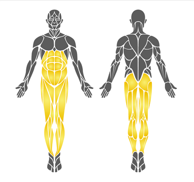 Bike & Stretch Trainer PF-07 – Dual Outdoor Fitness Equipment