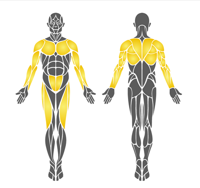 Park Spor Aleti, Üçlü Vücut Geliştirme Aleti EKS17