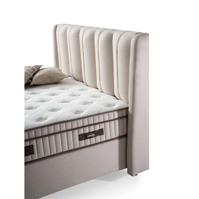 CAPELLA BAZA BAŞLIK