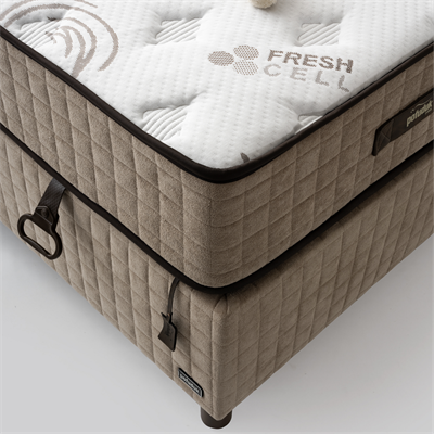POFUDUK CALİFORNİA 3 LÜ SET