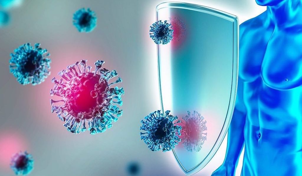 Bağışıklık Sistemini Güçlendirmenin Doğal Yolları: Hangi Vitaminler Gerçekten İşe Yarıyor?