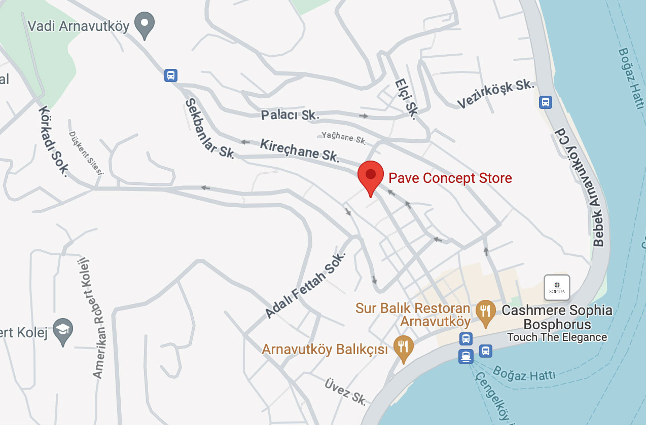 PAVE Concept Store Google Map
