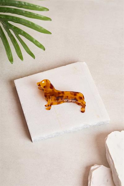 Amber Tortois Sosis Köpek Kemik Toka