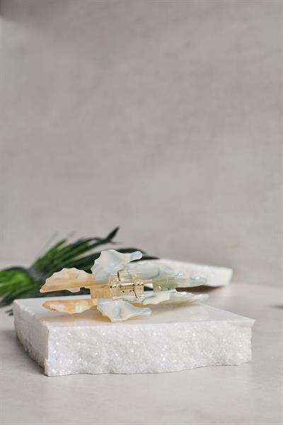 Deniz Atı Mandal bej