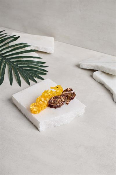 Deniz Atı Mandal sarı/kahve