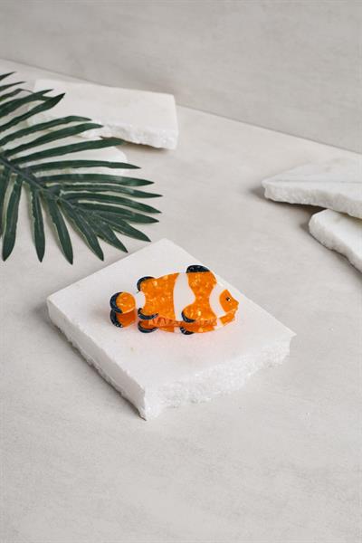 Kayıp Balık Nemo Mandal