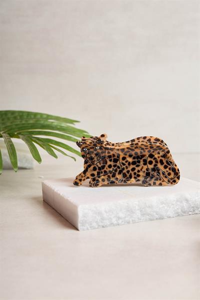 Leopar Kemik Toka