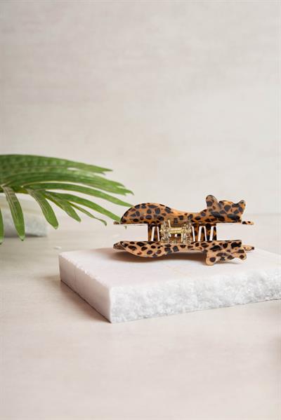 Leopar Kemik Toka