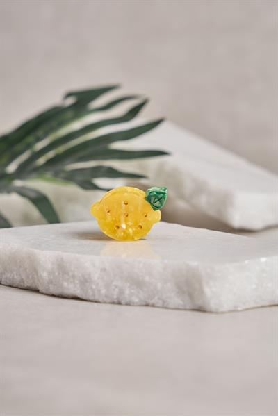 Limon Mini Kemik Toka