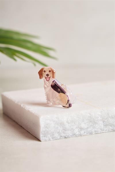 Mini Beagle Kemik Toka