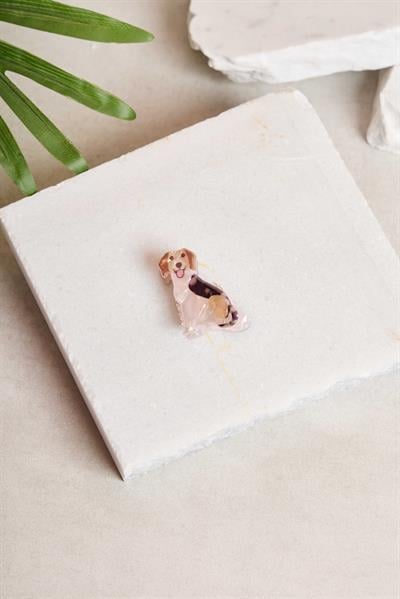 Mini Beagle Kemik Toka
