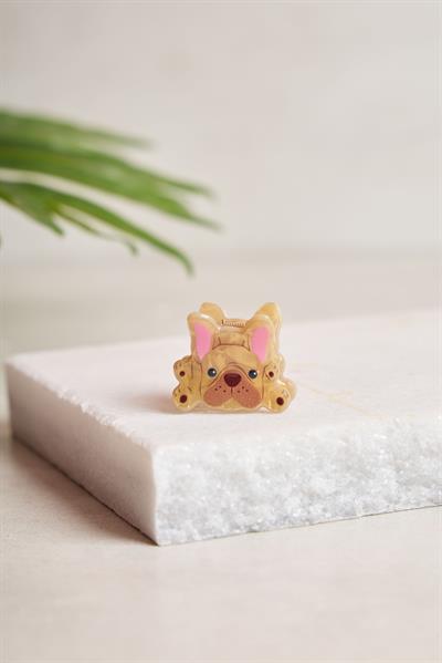 Mini French Bulldog Kemik Toka